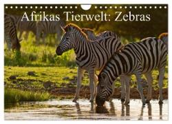 Afrikas Tierwelt: Zebras (Wandkalender 2024 DIN A4 quer), CALVENDO Monatskalender