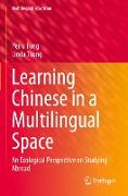 Learning Chinese in a Multilingual Space