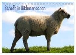 Schafe in Dithmarschen (Tischkalender 2024 DIN A5 quer), CALVENDO Monatskalender