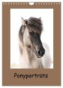 Ponyporträts (Wandkalender 2024 DIN A4 hoch), CALVENDO Monatskalender