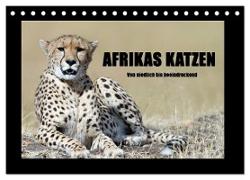Afrikas Katzen (Tischkalender 2024 DIN A5 quer), CALVENDO Monatskalender