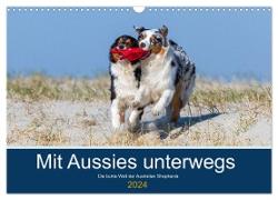 Mit Aussies unterwegs - Die bunte Welt der Australian Shepherds (Wandkalender 2024 DIN A3 quer), CALVENDO Monatskalender