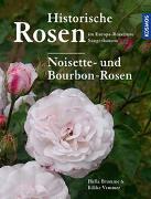 Historische Rosen im Europa Rosarium Sangerhausen: Noisette- und Bourbon-Rosen