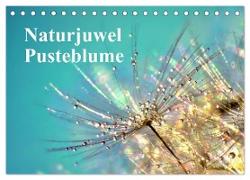 Naturjuwel Pusteblume (Tischkalender 2024 DIN A5 quer), CALVENDO Monatskalender
