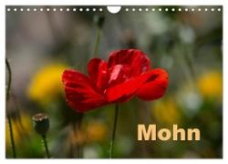 Mohn (Wandkalender 2024 DIN A4 quer), CALVENDO Monatskalender