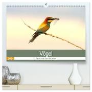 Vögel Stars vor der Kamera (hochwertiger Premium Wandkalender 2024 DIN A2 quer), Kunstdruck in Hochglanz