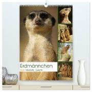 Erdmännchen-Meerkats-Surikate (hochwertiger Premium Wandkalender 2024 DIN A2 hoch), Kunstdruck in Hochglanz