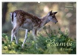 BAMBI & Familie (Wandkalender 2024 DIN A2 quer), CALVENDO Monatskalender