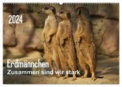 Erdmännchen ¿ Zusammen sind wir stark (Wandkalender 2024 DIN A2 quer), CALVENDO Monatskalender