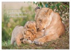 Emotionale Momente: Liebenswerte Löwenbabys (Wandkalender 2024 DIN A2 quer), CALVENDO Monatskalender