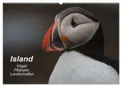 Island: Vögel, Pflanzen, Landschaften (Wandkalender 2024 DIN A2 quer), CALVENDO Monatskalender