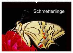 Schmetterlinge (Wandkalender 2024 DIN A2 quer), CALVENDO Monatskalender