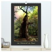 Das Seelenlicht der Bäume (hochwertiger Premium Wandkalender 2024 DIN A2 hoch), Kunstdruck in Hochglanz