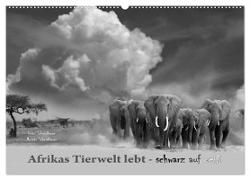 Afrikas Tierwelt lebt - schwarz auf weiß (Wandkalender 2024 DIN A2 quer), CALVENDO Monatskalender