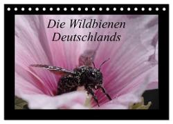 Die Wildbienen Deutschlands (Tischkalender 2024 DIN A5 quer), CALVENDO Monatskalender
