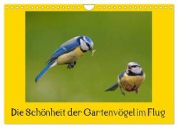 Die Schönheit der Gartenvögel im Flug (Wandkalender 2024 DIN A4 quer), CALVENDO Monatskalender