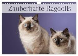 Zauberhafte Ragdolls / Geburtstagskalender (Wandkalender 2024 DIN A4 quer), CALVENDO Monatskalender