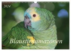 Blaustirnamazonen - Papageien in Paraguay (Wandkalender 2024 DIN A3 quer), CALVENDO Monatskalender