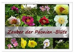 Zauber der Päonien-Blüte (Wandkalender 2024 DIN A3 quer), CALVENDO Monatskalender