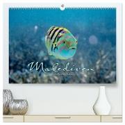 Unterwasserwelt der Malediven II (hochwertiger Premium Wandkalender 2024 DIN A2 quer), Kunstdruck in Hochglanz