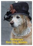 Germanys Best Dog Models - gestylte Labrador und Golden Retriever (Wandkalender 2024 DIN A4 hoch), CALVENDO Monatskalender