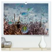 Unterwasserwelt der Malediven III (hochwertiger Premium Wandkalender 2024 DIN A2 quer), Kunstdruck in Hochglanz