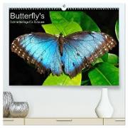 Butterfly's - Schmetterlinge für Zuhause (hochwertiger Premium Wandkalender 2024 DIN A2 quer), Kunstdruck in Hochglanz