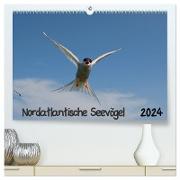 Nordatlantische Seevögel (hochwertiger Premium Wandkalender 2024 DIN A2 quer), Kunstdruck in Hochglanz