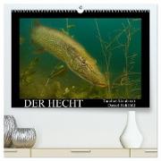 Der Hecht - Tauchen Sie ab mit Daniel Hohlfeld (hochwertiger Premium Wandkalender 2024 DIN A2 quer), Kunstdruck in Hochglanz