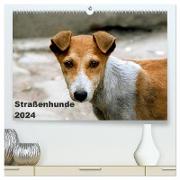 Straßenhunde (hochwertiger Premium Wandkalender 2024 DIN A2 quer), Kunstdruck in Hochglanz