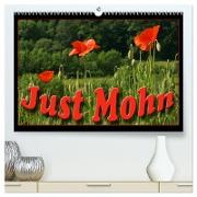 Just Mohn (hochwertiger Premium Wandkalender 2024 DIN A2 quer), Kunstdruck in Hochglanz