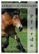 Pferde / Planer (Wandkalender 2024 DIN A3 hoch), CALVENDO Monatskalender