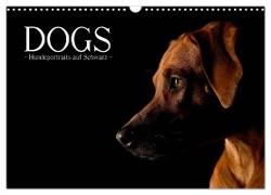 Dogs (Wandkalender 2024 DIN A3 quer), CALVENDO Monatskalender