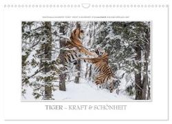 Emotionale Momente: Tiger - Kraft & Schönheit. / CH-Version (Wandkalender 2024 DIN A3 quer), CALVENDO Monatskalender