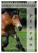 Pferde / Planer (Tischkalender 2024 DIN A5 hoch), CALVENDO Monatskalender