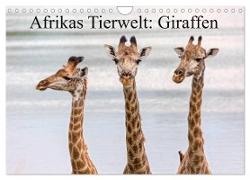 Afrikas Tierwelt: Giraffen (Wandkalender 2024 DIN A4 quer), CALVENDO Monatskalender