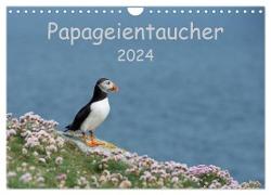 Papageientaucher 2024 (Wandkalender 2024 DIN A4 quer), CALVENDO Monatskalender