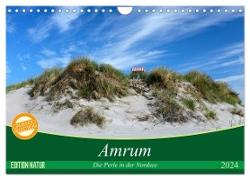 Amrum, die Perle in der Nordsee (Wandkalender 2024 DIN A4 quer), CALVENDO Monatskalender