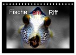 Fische am Riff (Tischkalender 2024 DIN A5 quer), CALVENDO Monatskalender