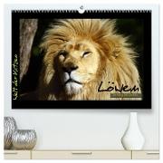 Welt der Katzen - Löwen (hochwertiger Premium Wandkalender 2024 DIN A2 quer), Kunstdruck in Hochglanz