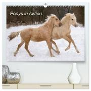 Ponys in Aktion (hochwertiger Premium Wandkalender 2024 DIN A2 quer), Kunstdruck in Hochglanz