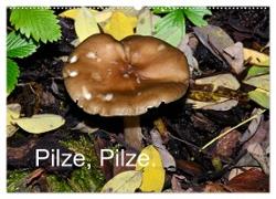 Pilze, Pilze (Wandkalender 2024 DIN A2 quer), CALVENDO Monatskalender