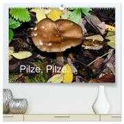 Pilze, Pilze (hochwertiger Premium Wandkalender 2024 DIN A2 quer), Kunstdruck in Hochglanz