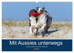 Mit Aussies unterwegs - Die bunte Welt der Australian Shepherds (Wandkalender 2024 DIN A2 quer), CALVENDO Monatskalender