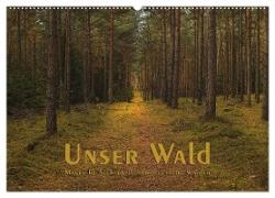 Unser Wald - Magische Sichten in norddeutsche Wälder (Wandkalender 2024 DIN A2 quer), CALVENDO Monatskalender