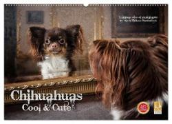 Chihuahuas - Cool and Cute (Wandkalender 2024 DIN A2 quer), CALVENDO Monatskalender