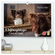 Chihuahuas - Cool and Cute (hochwertiger Premium Wandkalender 2024 DIN A2 quer), Kunstdruck in Hochglanz
