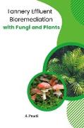 Tannery Effluent Bioremediation with Fungi and Plants