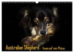 Australian Shepherd - Traum auf vier Pfoten (Wandkalender 2024 DIN A3 quer), CALVENDO Monatskalender