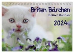 Briten Bärchen ¿ Britsch Kurzhaar 2024 (Tischkalender 2024 DIN A5 quer), CALVENDO Monatskalender